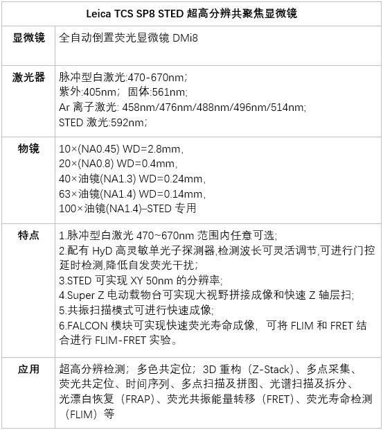 2021.11.24 共享仪器平台Leica SP8 STED 超高分辨共聚焦显微镜上机培训仪器介绍.jpg