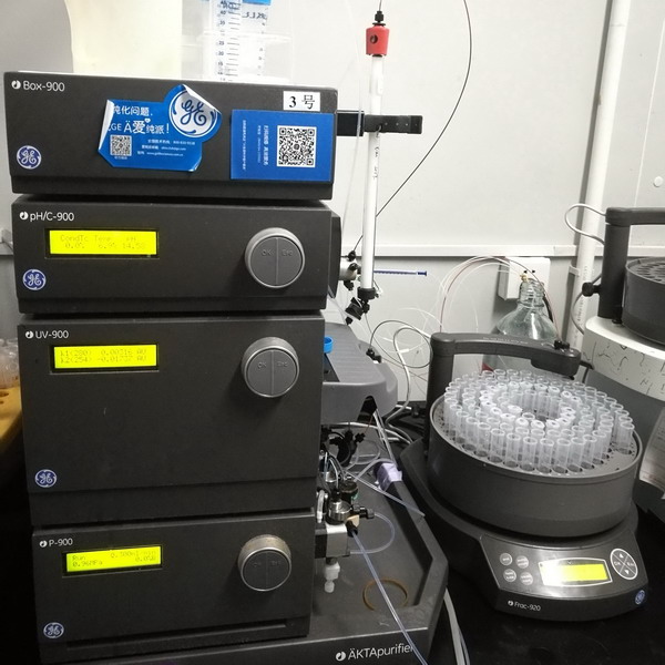 蛋白层析系统（AKTA Purifier 10）-3号设备