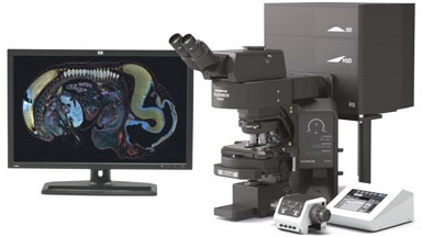 细胞生物学平台Olympus激光共聚焦显微镜FV3000上机培训通知