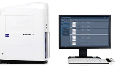细胞生物学平台Zeiss全自动数字玻片扫描系统上机培训通知