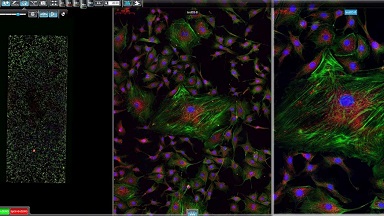 细胞生物学平台3DHISTECH玻片扫描系统培训通知