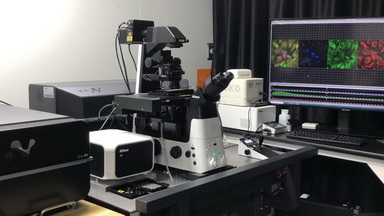 共享仪器平台Multi-SIM AXR 多模态超分辨共聚焦显微镜上机培训通知
