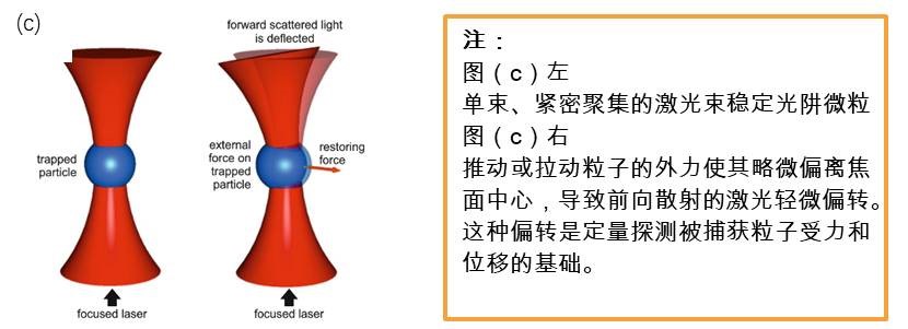 光镊在生物学领域的发展概述-清华大学蛋白质研究技术中心