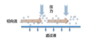 1761198483147011400.jpg 20251030 生物样品制备与鉴定平台TFF技术交流通知 内插图.jpg