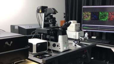 共享仪器平台Multi-SIM AXR 多模态超分辨共聚焦显微镜上机培训通知